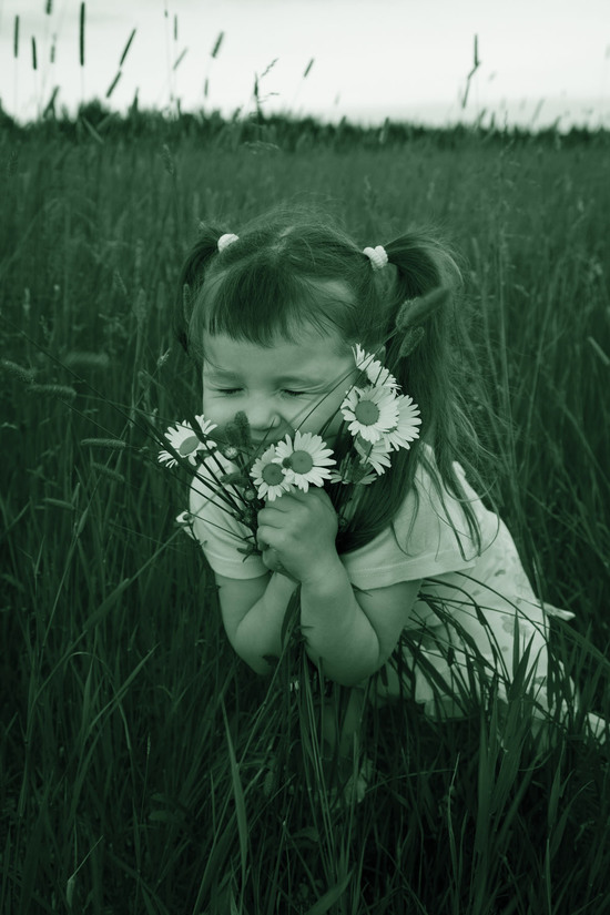 1952511 little girl embraces flowers chamomiles mostphotos pms625 mp