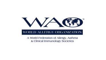 Wao logo